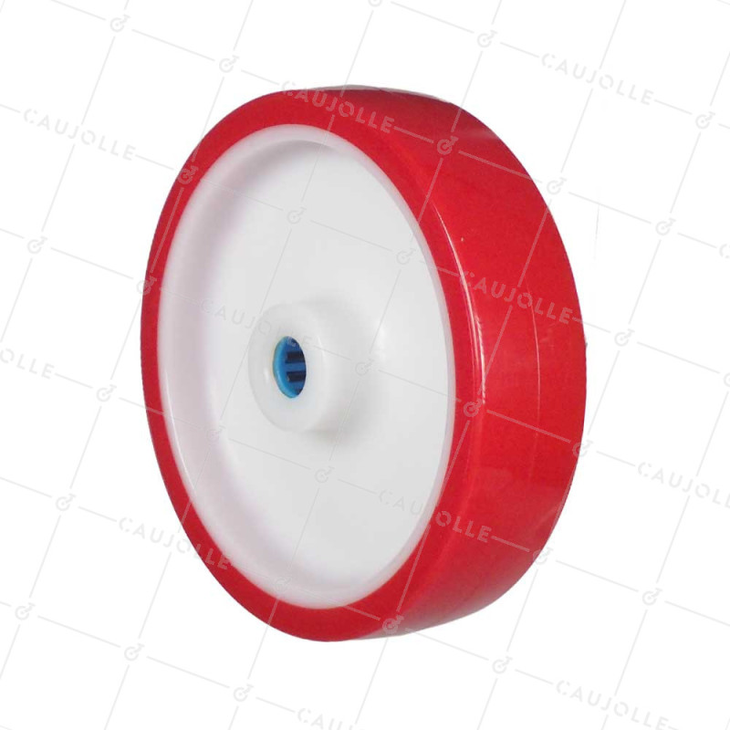 ROUE BI MATIERE NYLON POLYURETHANE DIAMETRE 200 MM CHARGE 300 KG ROULEMENT A ROULEAUX INOX 20 MM - S2450BP 200/50 LM58 RR INOX 2