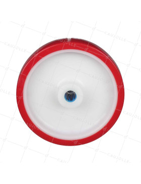 ROUE BI MATIERE NYLON POLYURETHANE DIAMETRE 200 MM CHARGE 300 KG ROULEMENT A ROULEAUX INOX 20 MM - S2450BP 200/50 LM58 RR INOX 2