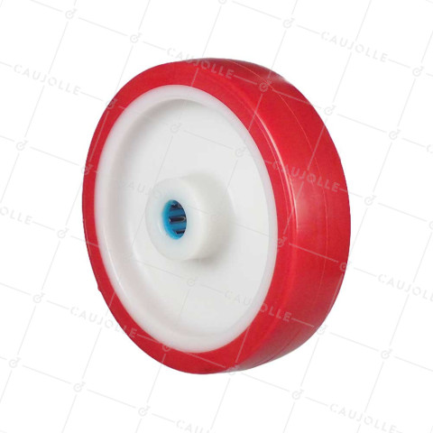 ROUE BI MATIERE NYLON POLYURETHANE DIAMETRE 175 MM CHARGE 300 KG ROULEMENT A ROULEAUX INOX 20 MM - S2450BP 175/45 LM58 RR INOX 20 • Caujolle