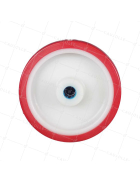 ROUE BI MATIERE NYLON POLYURETHANE DIAMETRE 175 MM CHARGE 300 KG ROULEMENT A ROULEAUX INOX 20 MM - S2450BP 175/45 LM58 RR INOX 2