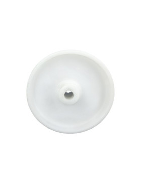POLYPROPYLENE ROLLER 125 MM DIAMETER 12 MM BORE