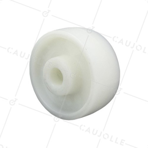 REINFORCED NYLON ROLLER 100 MM DIAMETER 20 MM BORE • Caujolle