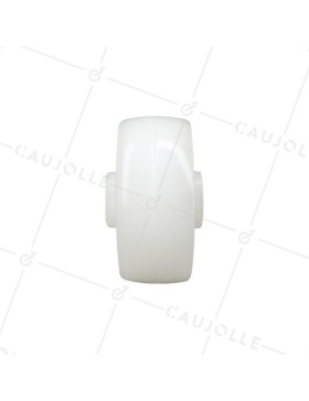 ROUE NYLON DIAMÈTRE 50 MM CHARGE 100 KG AXE 9 MM - S2450 50/20 LM28 L9