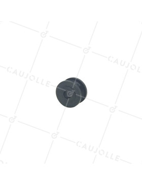 SINGLE PULLEY 20 MM DIAMETER 6 MM BORE • Caujolle