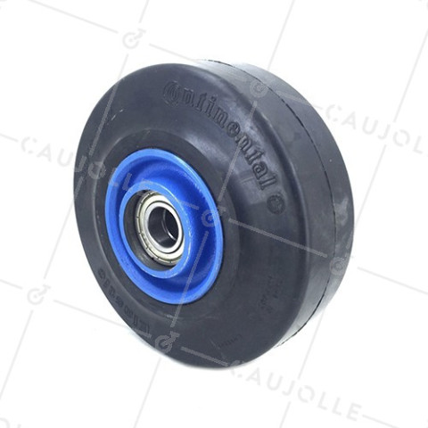 IRON WHEEL SUPPLE TYRE 200 MM DIAMETER 25 MM BORE S2750 • Caujolle