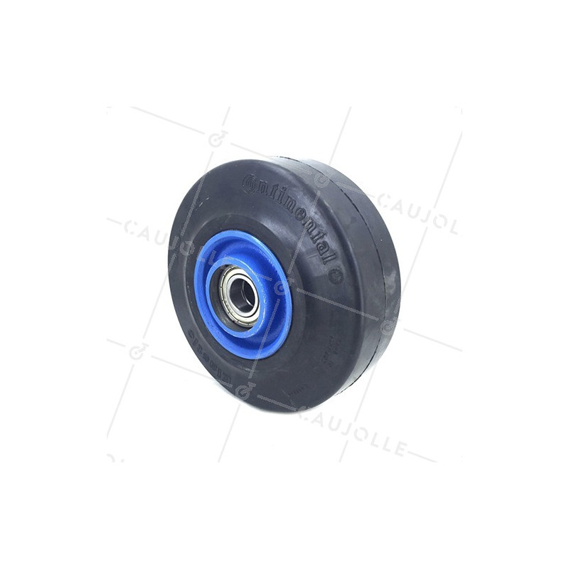 ROUE EN FONTE BANDAGE SOUPLE DIAMÈTRE 200 MM AXE 25 MM S2750F200