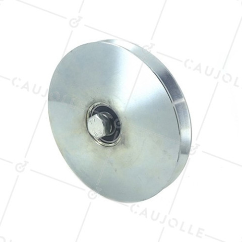 ROUE DE PORTAIL ÉTROITE DIAMÈTRE 160 MM POUR RAIL TRIANGULAIRE UNIVERSEL CHARGE 550 KG AXE 14 MM - GAGV160E • Caujolle