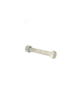 BOLT 8 MM DIAMETER 55 MM LONG 
