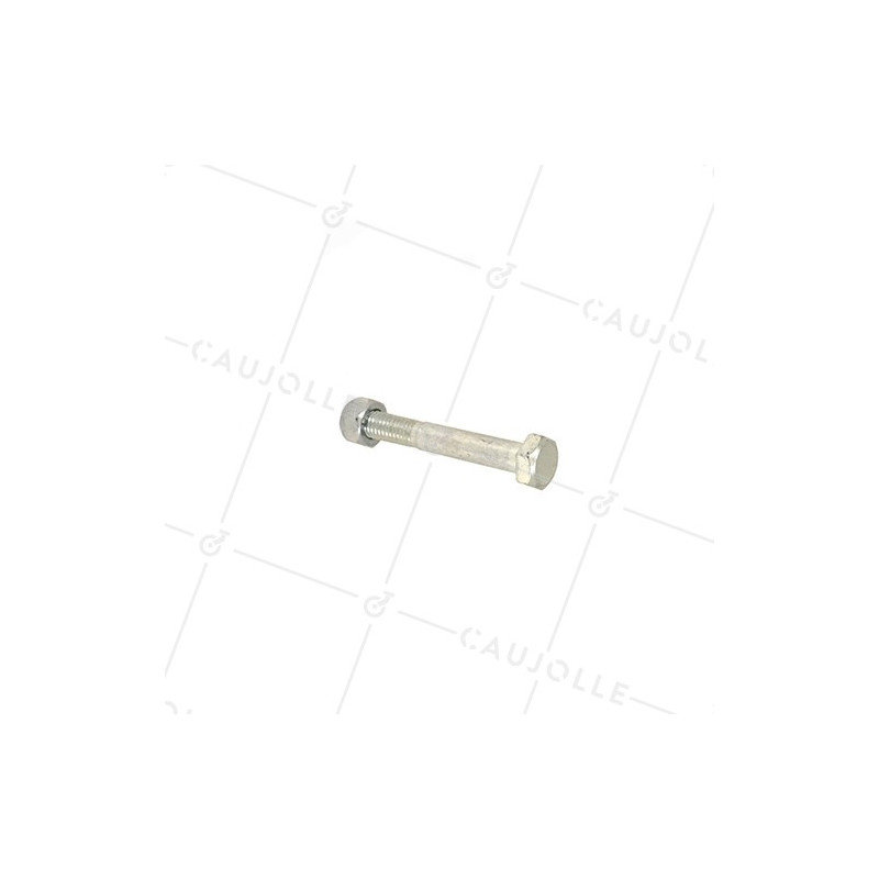 BOLT 8 MM DIAMETER 55 MM LONG 