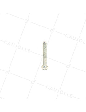 BOLT 8 MM DIAMETER 60 MM LONG 