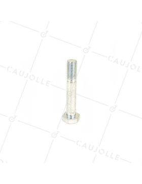 BOLT 10 MM DIAMETER 60 MM LONG 