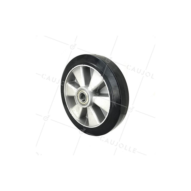 ROUE INDUSTRIELLE A ABSORPTION DE CHOC DIAMÈTRE 250 MM AXE 25 MM S2014