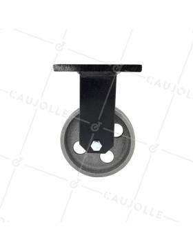 ROULETTE VINTAGE EN FONTE FIXE DIAMÈTRE 100MM CHARGE 250KG - INDUSTYL100F