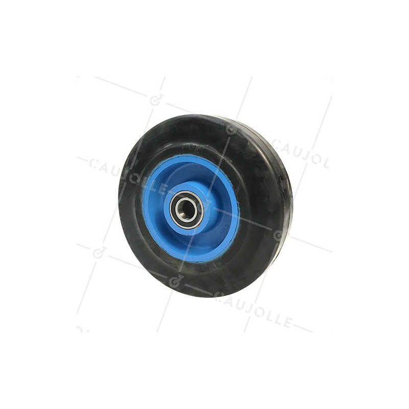 ROUE EN FONTE BANDAGE SOUPLE DIAMÈTRE 125MM AXE 20MM S2750F125/50