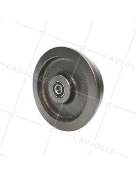 CAST IRON MINE WAGON WHEEL DIAMETER 200 MM FOR 46 MM RAILS MAX LOAD 1500 KG BORE 20 MM • Caujolle
