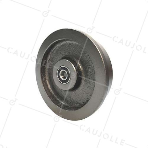 ROUE DE WAGONNET DE MINE EN FONTE DIAMÈTRE 200 MM POUR RAILS DE 46 MM CHARGE 1500 KG AXE 20 MM • Caujolle