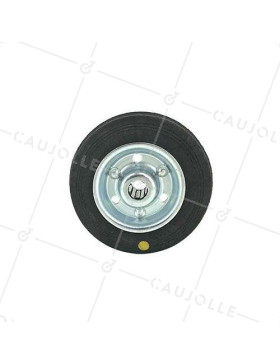 Galet de manutention antistatique diamètre 100 mm - S2300