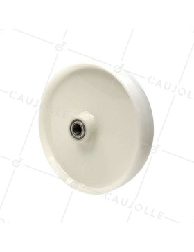 ROUE NYLON DIAMÈTRE 300 MM CHARGE 1000 KG AXE 25 MM ET ROULEMENT BILLES - S2450 300 RB25 • Caujolle