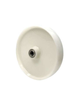 Roue en nylon diamètre 300 mm avec roulement à billes de 25 - S2450