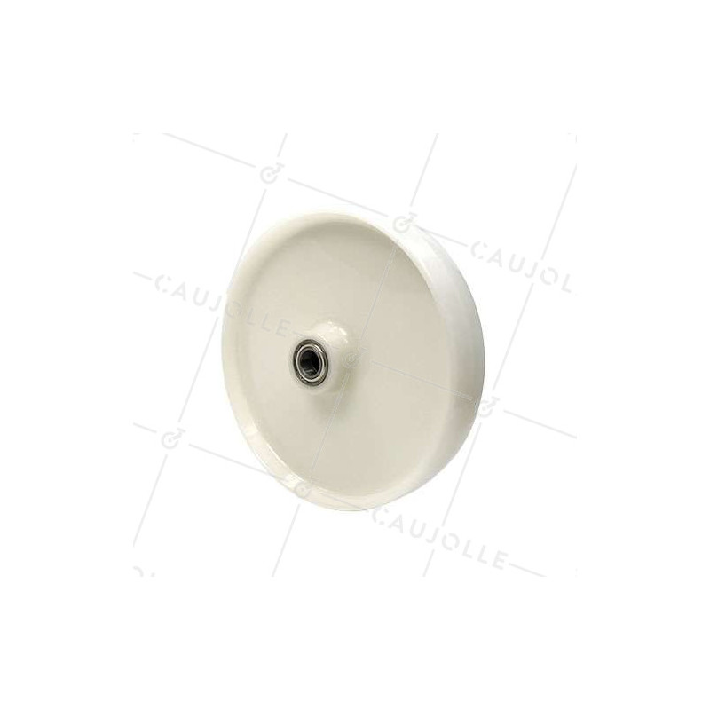 Roue en nylon diamètre 300 mm avec roulement à billes de 25 - S2450