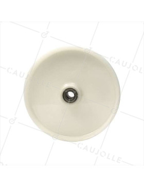 Roue en nylon diamètre 300 mm avec roulement à billes de 25 - S2450