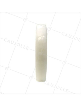 Roue en nylon diamètre 300 mm avec roulement à billes de 25 - S2450
