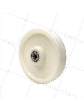 ROUE EN NYLON RENFORCÉ DIAMÈTRE 250 MM CHARGE 1500 KG AXE 20 MM ET ROULEMENT BILLES - S2480 250 RB20 • Caujolle