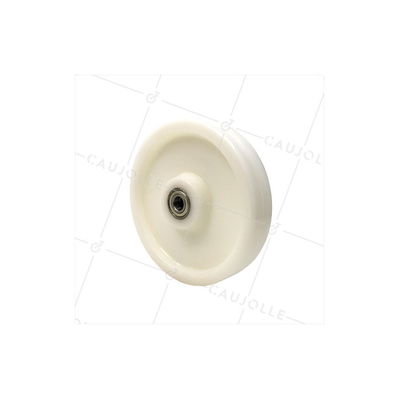 Roue en nylon renforcé diamètre 250mm avec roulement à billes