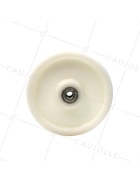 Roue en nylon renforcé diamètre 250mm avec roulement à billes