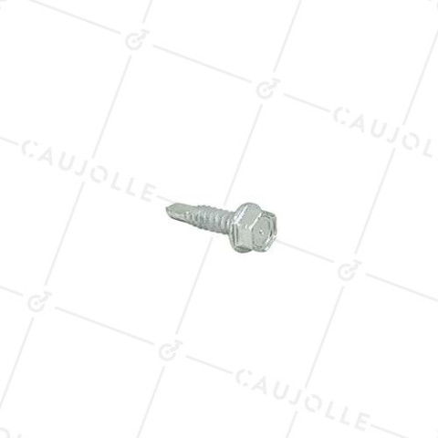 VIS AUTOPERCEUSE POUR ROULETTES DIAMÈTRE 6 MM LONGUEUR 25 MM • Caujolle