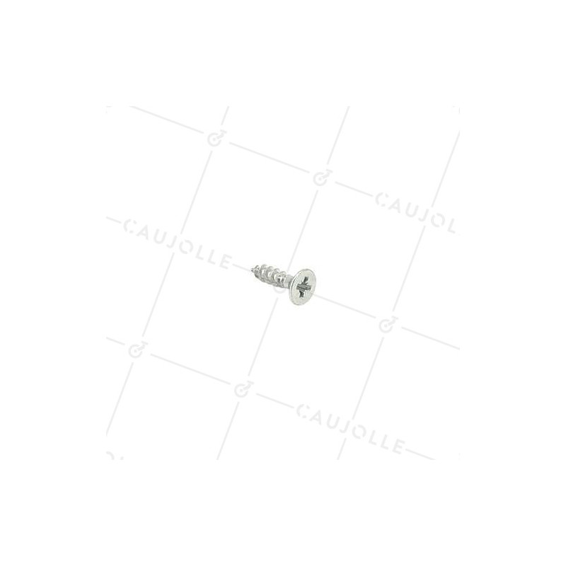 VIS À BOIS ZINGUÉE DIAMÈTRE 5 MM LONGUEUR 20 MM