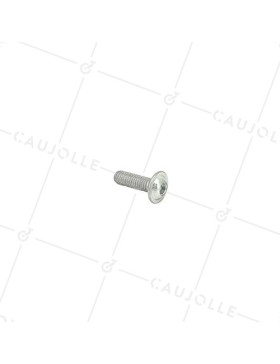 VIS À MÉTAUX À TÊTE BOMBÉE SIX PANS CREUX À EMBASE DIAMÈTRE 6 MM LONGUEUR 20 MM • Caujolle