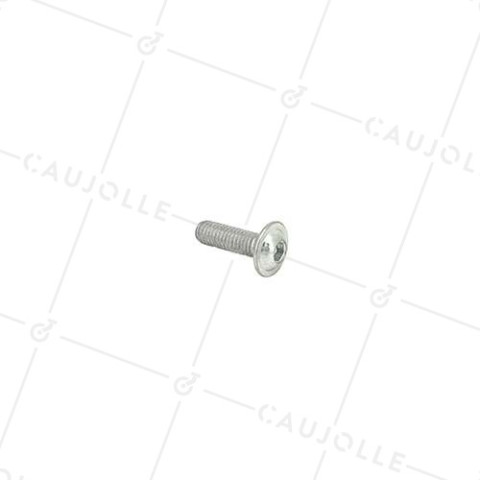 VIS À MÉTAUX À TÊTE BOMBÉE SIX PANS CREUX À EMBASE DIAMÈTRE 6 MM LONGUEUR 20 MM • Caujolle