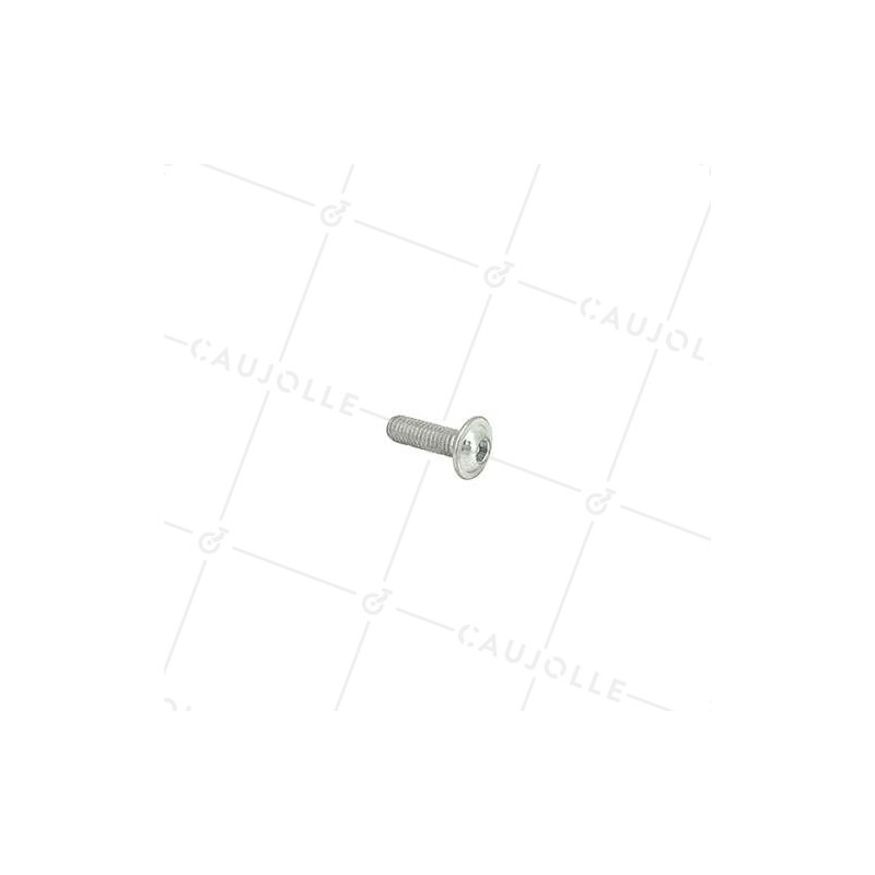 Vis 6pans creux à tête bombée 6-20
