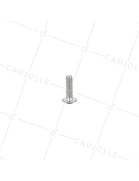 Vis 6pans creux à tête bombée 6-20