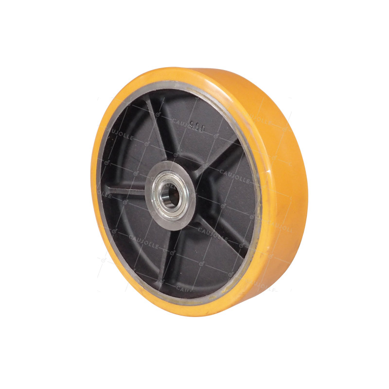 ROUE DE STATION D'EPURATION DIAMETRE 300 MM CHARGE 2200 KG - SFPU 300x70