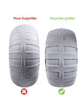 ROUE BALLON BASSE PRESSION POUR PLAGE DIAMÈTRE 420 MM CHARGE 80 KILOS AXE 25 MM - ROUE BALLON 16 POUCES