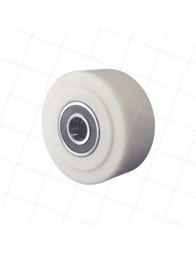 ROUE NYLON FORTE CHARGE DIAMETRE 125 MM CHARGE 2000 KG POUR AXE DE 125MM - S2490 125 RB25 • Caujolle