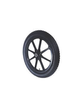S5100P 20POUCES GONFLEE