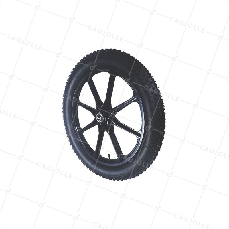 S5100P 20POUCES GONFLEE