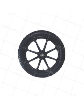 S5100P 20POUCES GONFLEE
