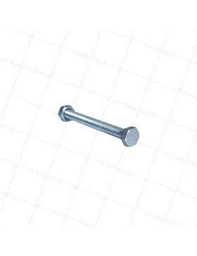 BOLT DIAMETER 6MM LENGTH 60MM • Caujolle