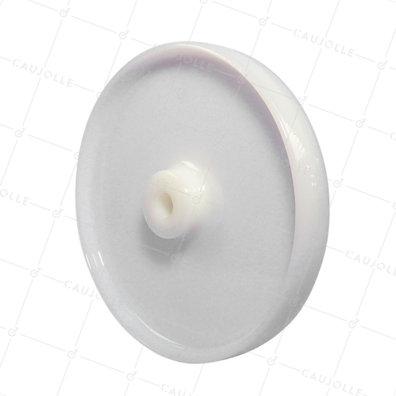 ROUE NYLON DIAMÈTRE 300 MM CHARGE 1000 KG AXE 25 MM - S2450 300 L25G