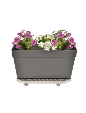 POT RACK ON WHEELS XXL 60X40X7CM LOAD 120 KG - JARDI GROOVE 60