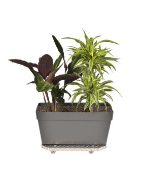 POT RACK ON WHEELS XXL 60X40X7CM LOAD 120 KG - JARDI GROOVE 60