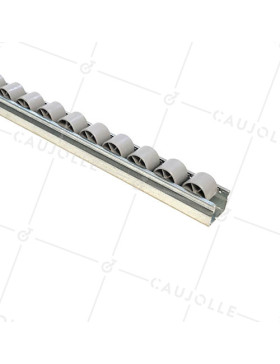 ROUL CONVOYEUR 2M • Caujolle