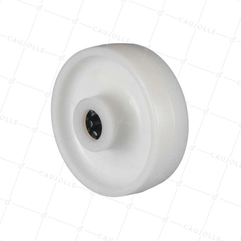 Wheel NYLON DIAMETER 125 MM LOAD 300 KG AXLE 20 MM ROLLERS - S2450 125/40 LM60 RR20 • Caujolle