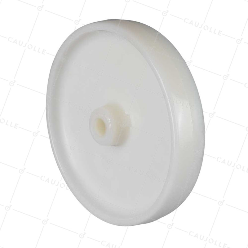 ROUE NYLON DIAMÈTRE 250 MM CHARGE 600 KG AXE 20 MM LISSE - S2450 250/49 LM60 L20