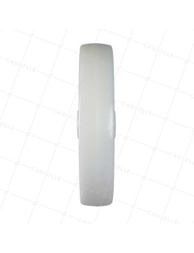 ROUE NYLON DIAMÈTRE 250 MM CHARGE 600 KG AXE 20 MM LISSE - S2450 250/49 LM60 L20