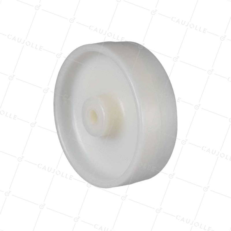 ROUE NYLON RENFORCE FORTE CHARGE DIAMÈTRE 250 MM CHARGE 250 KG AXE 12 MM LISSE - S2450 125R/40 LM45 L12